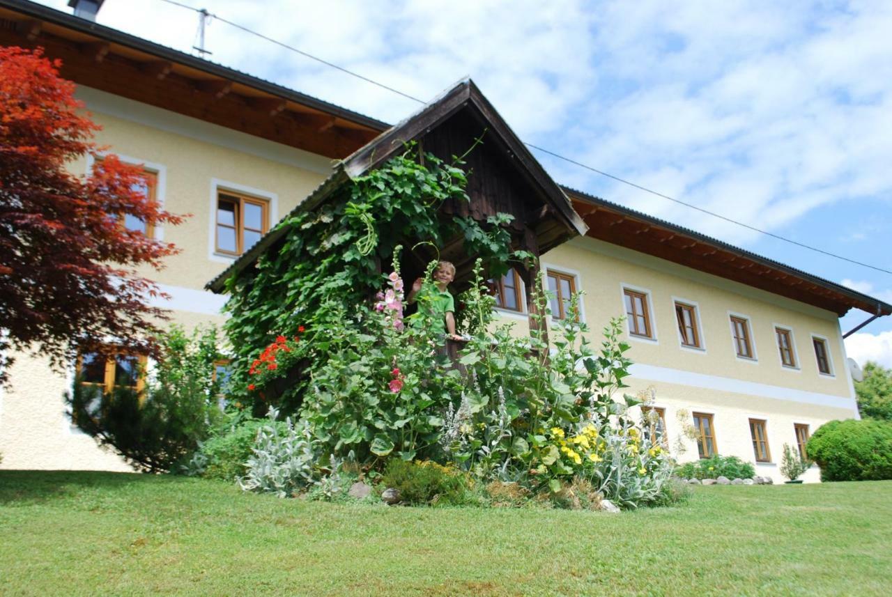 Bauernhof "Unteres Feld" Villa Altmünster Exterior foto